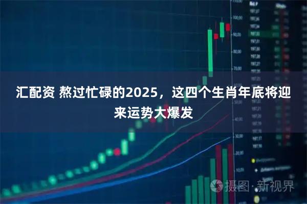 汇配资 熬过忙碌的2025，这四个生肖年底将迎来运势大爆发